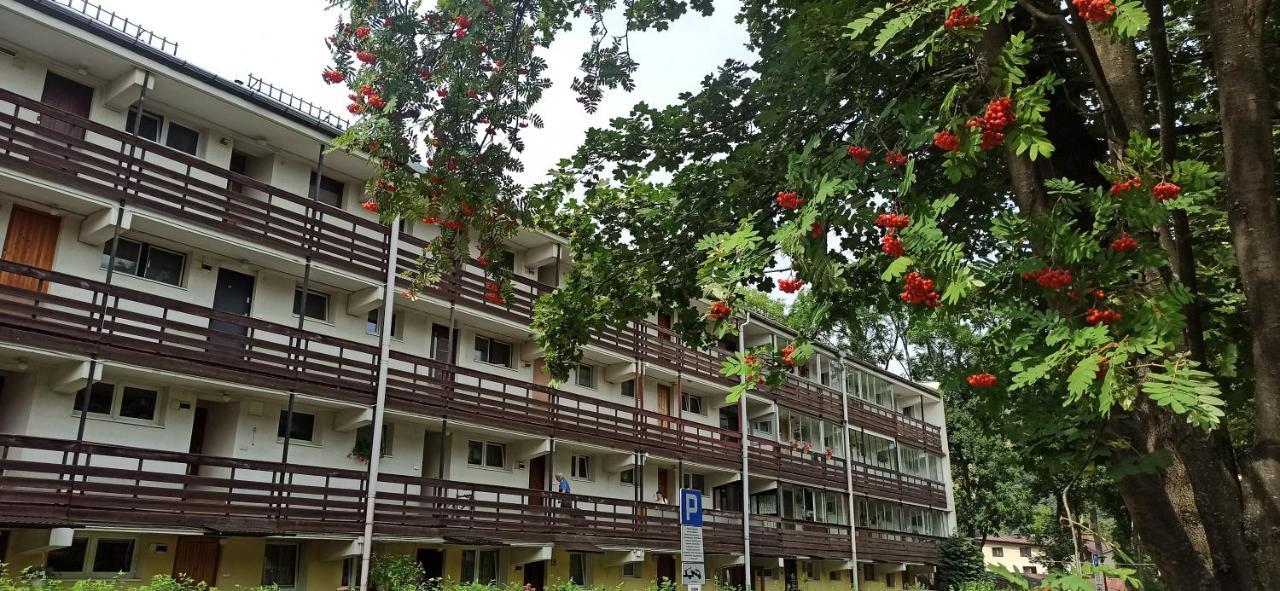 זקופאנה Retrospekcja - Apartament W Centrum מראה חיצוני תמונה